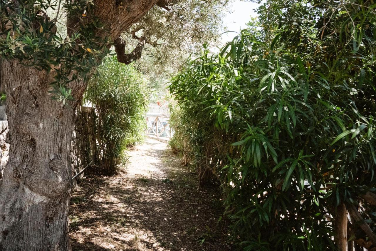 Casa Gioia Apartman Amalfi Kültér fotó